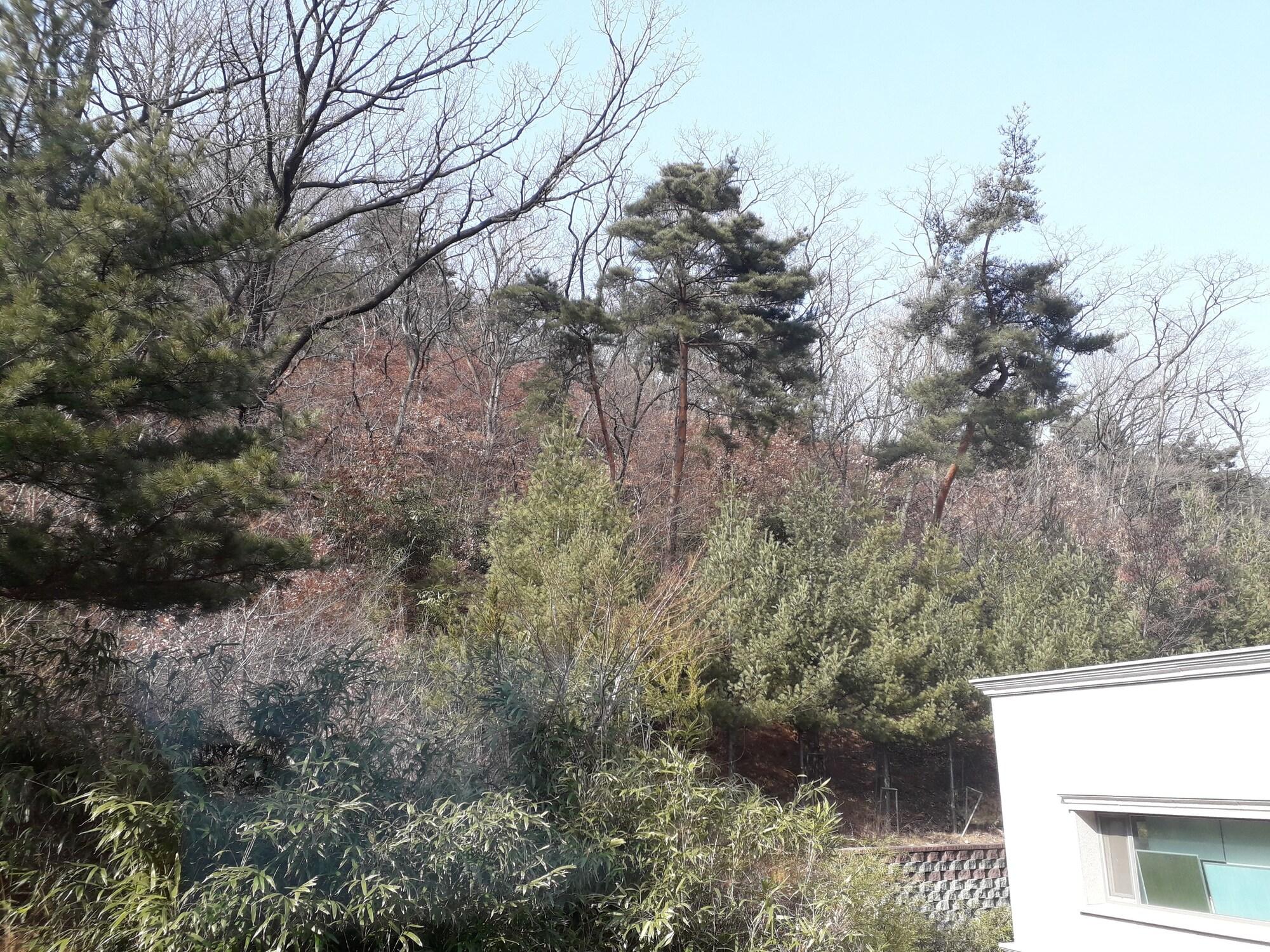 Hotel Geumosan Gumi Exterior photo